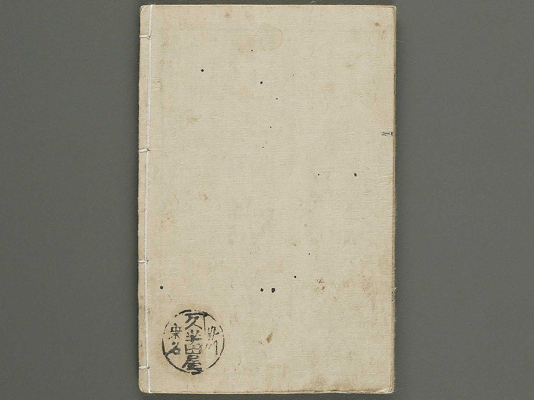 Iwakura zeme gunki (Chu) by Utagawa Yoshiharu / BJ339-185