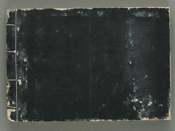 Iitogusa (Jo) / BJ343-224