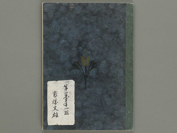 Chugaku zuga / BJ328-468