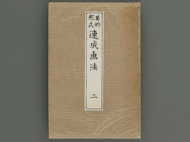 Biteki keishiki sokusei gaho Volume 2 by Matsuda Kajo / BJ348-054