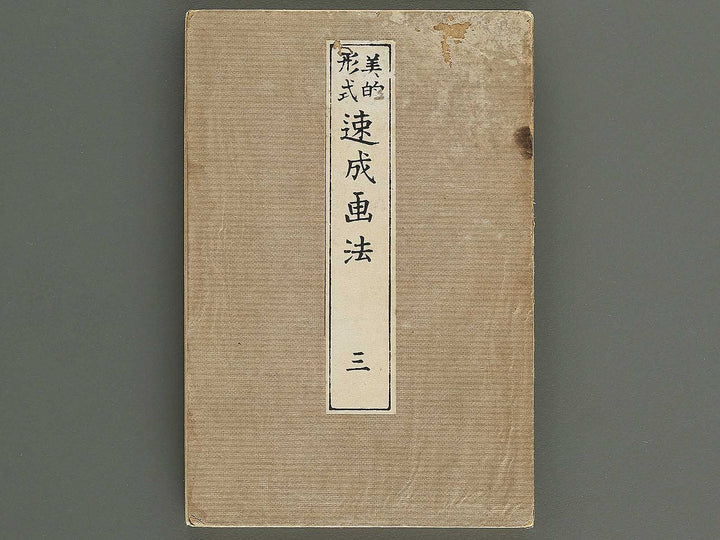 Biteki keishiki sokusei gaho Volume 3 by Matsuda Kajo / BJ348-061