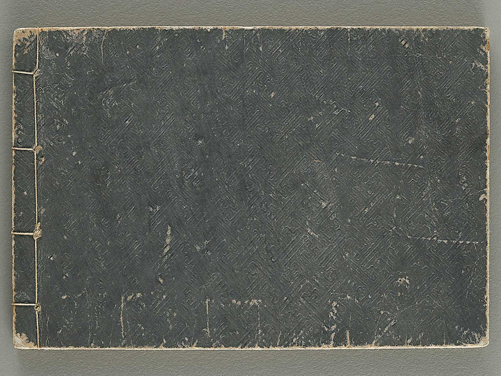 Taisho shin hinagata zensho Volume 1 / BJ337-995