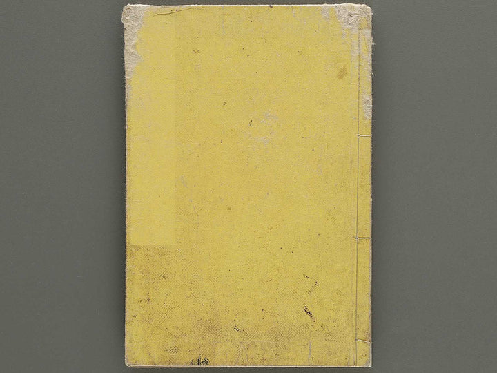 Hakubutsu Shinpen Volume 1 / BJ335-405