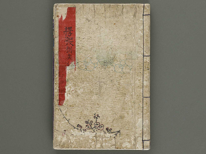 Shaka hasso yamato bunko Volume 1 by Utagawa-school / BJ339-199