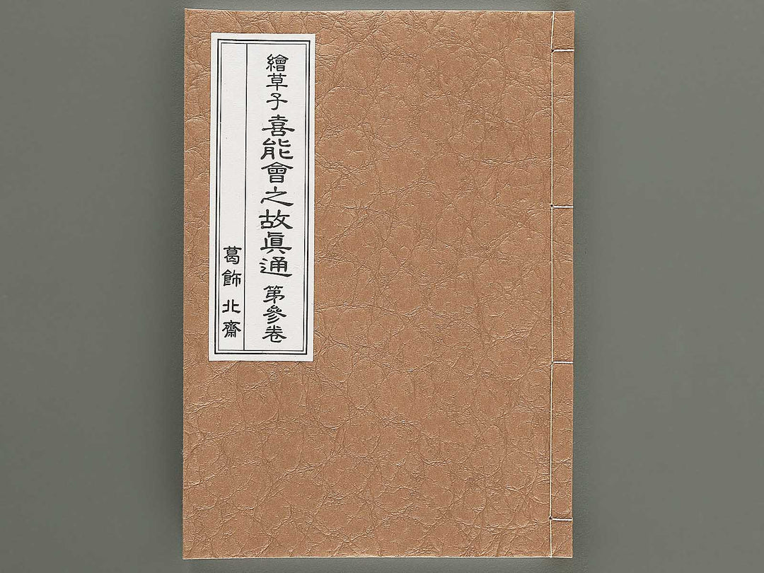 Ezoshi Konoe no komatsu Volume 3 by Katsushika Hokusai / BJ346-437