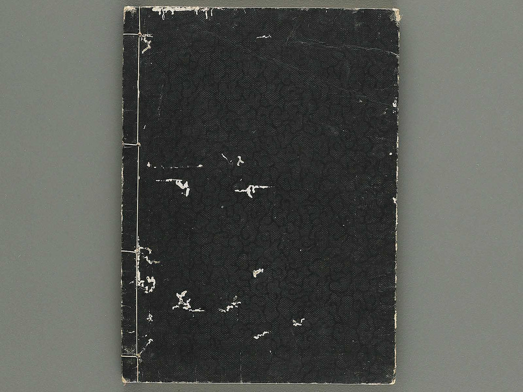 Iccho gafu (Ge) by Hanabusa Iccho / BJ343-644