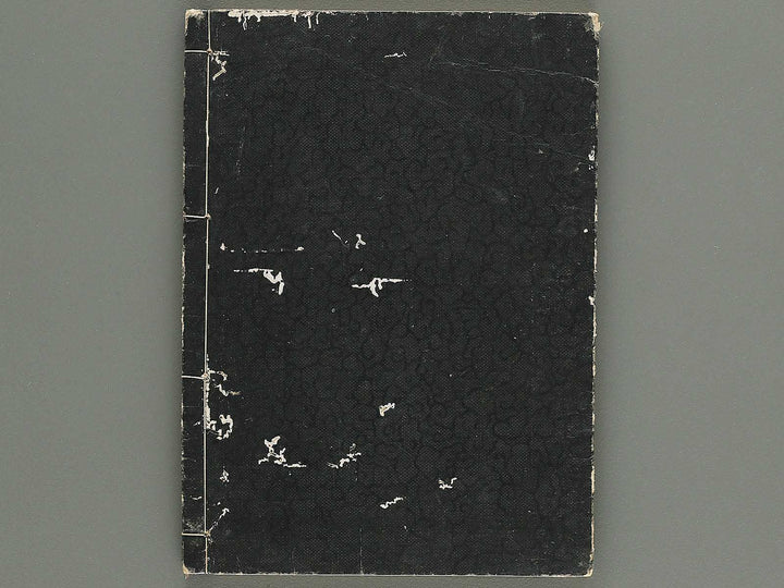 Iccho gafu (Ge) by Hanabusa Iccho / BJ343-644