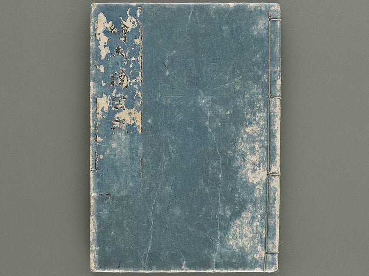 Ehon nankoki Volume 1 by Hayami Shungyosai / BJ335-433