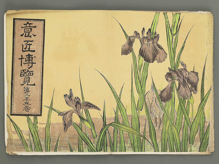Isho hakuran Dai 3nen 5kan by Tanaka Yuho / BJ353-332