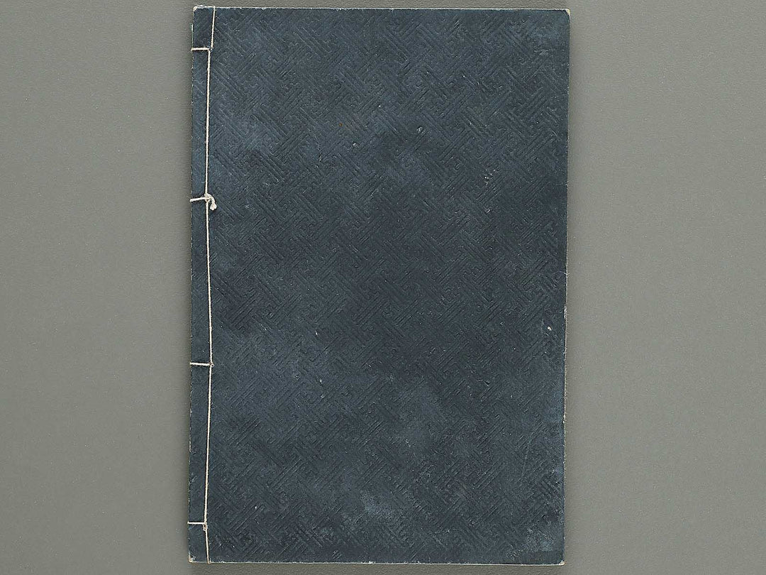 Shinsen taisho hinagata taizen Volume 2 / BJ329-910