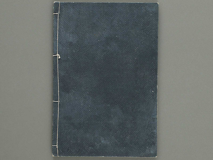 Shinsen taisho hinagata taizen Volume 2 / BJ329-910