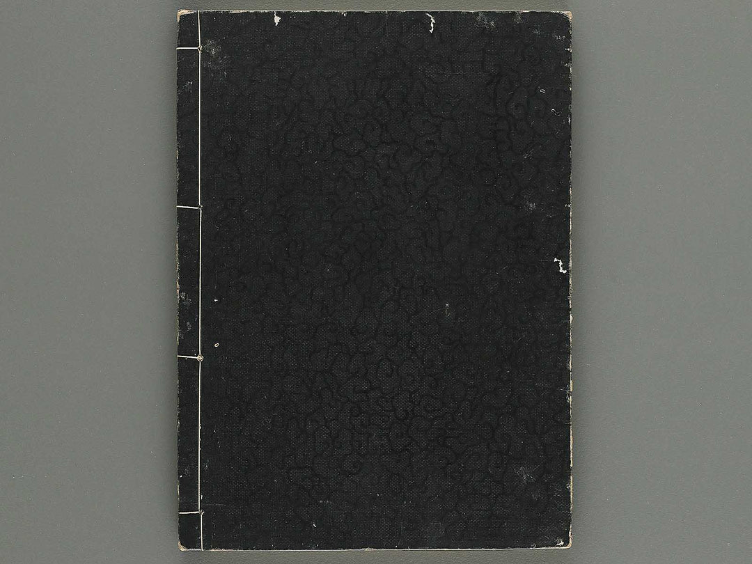 Iccho gafu (Jo) by Hanabusa Iccho / BJ343-630