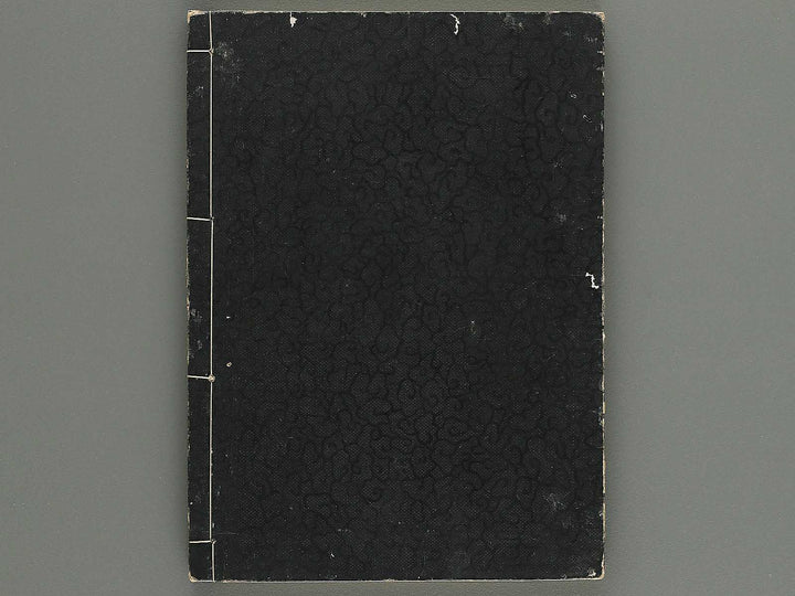 Iccho gafu (Jo) by Hanabusa Iccho / BJ343-630