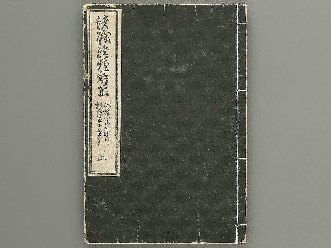 Shoshoku eyo hinagata Volume 3 by Sugiura Yasugoro / BJ352-653
