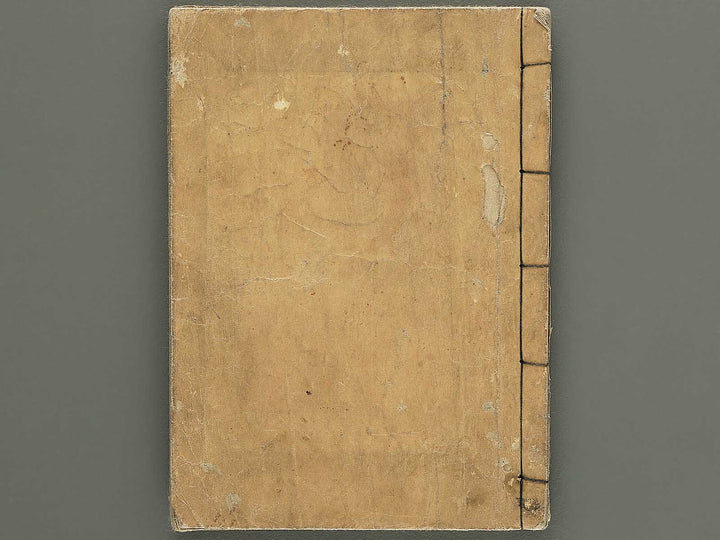 Shunga / BJ350-532