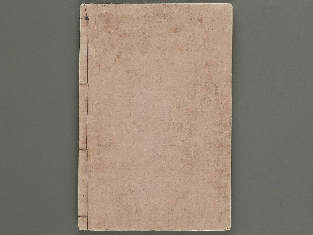 Gazu hyakuchin  / BJ334-600