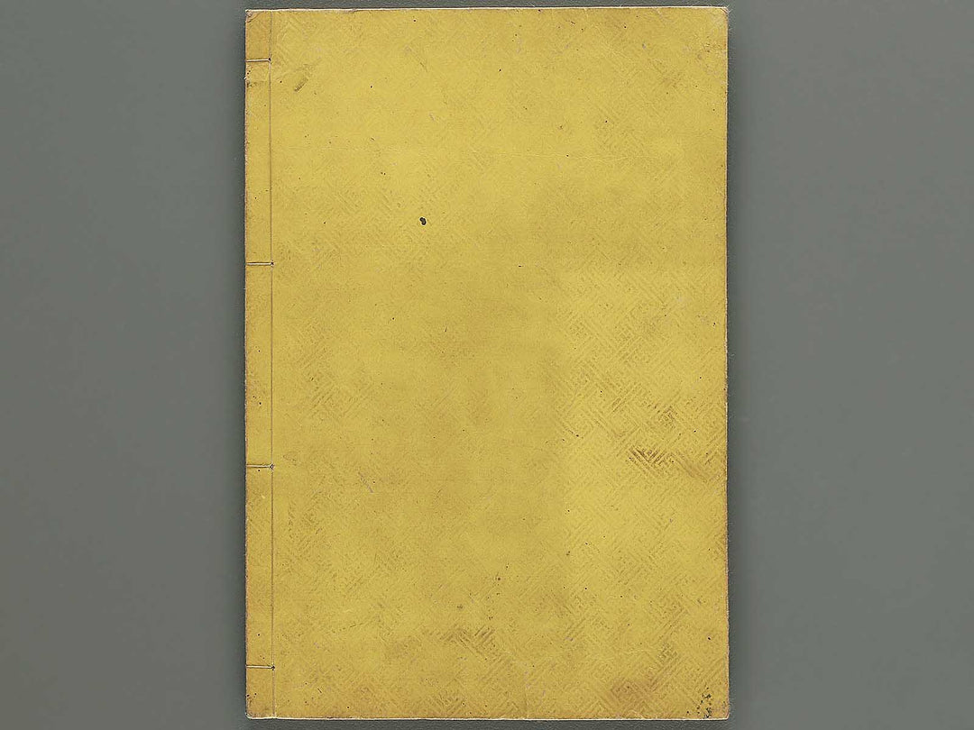Hakubutsu Shinpen Volume 2 / BJ342-461