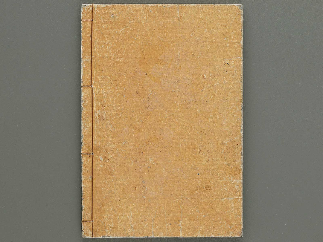 Soka koromonoka Volume 2 by Hishikawa Sori / BJ335-174