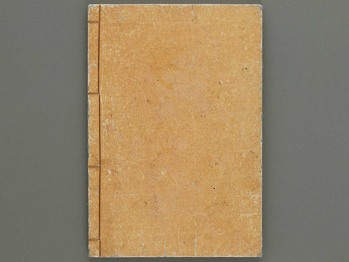 Soka koromonoka Volume 2 by Hishikawa Sori / BJ335-174