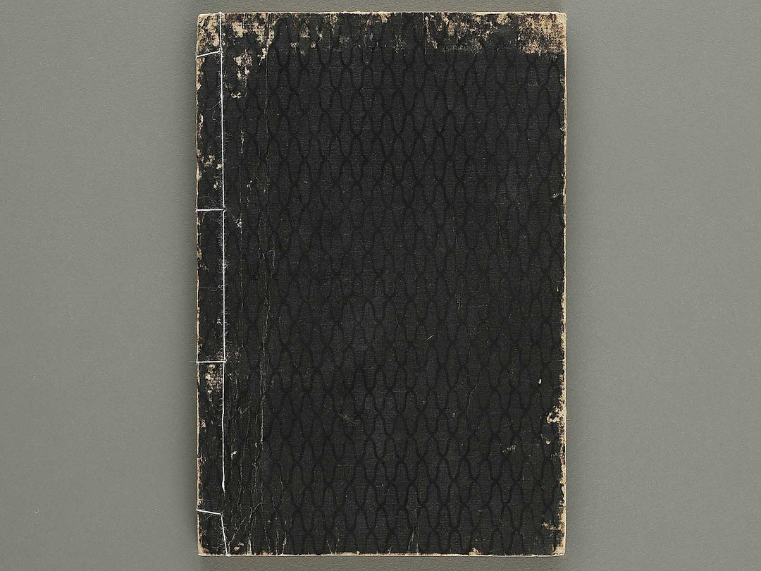 Kaisei nihon kuni zukushi Volume 6 / BJ330-400