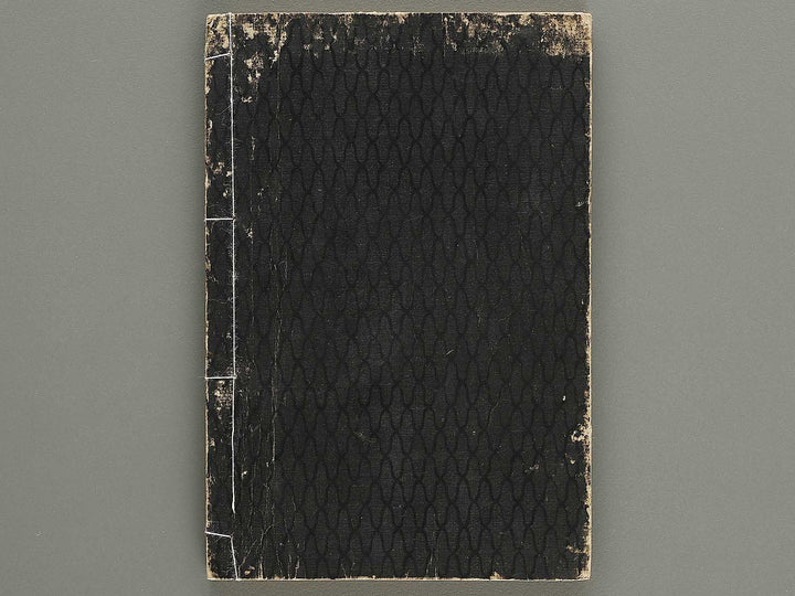 Kaisei nihon kuni zukushi Volume 6 / BJ330-400