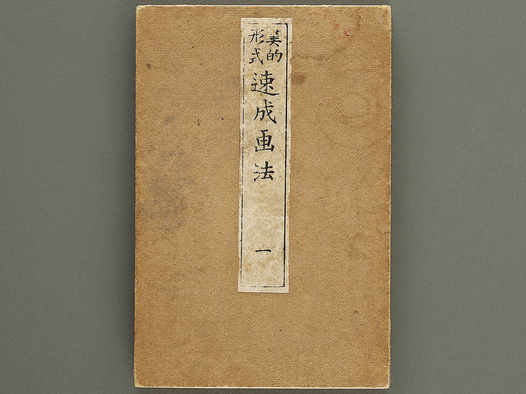 Biteki keishiki sokusei gaho Volume 1 by Matsuda Kajo / BJ333-865