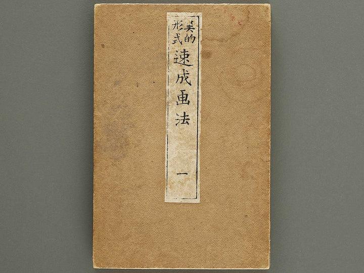 Biteki keishiki sokusei gaho Volume 1 by Matsuda Kajo / BJ333-865