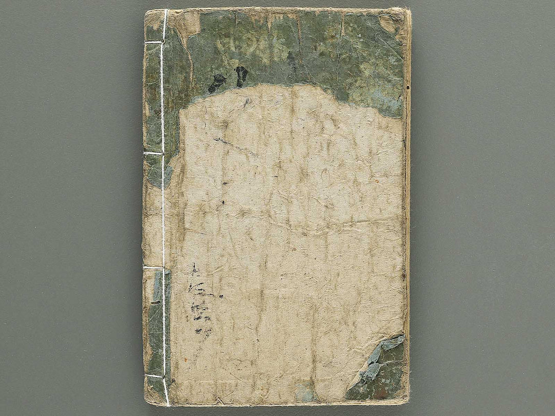 Yanagawa gafu (Kacho bu) by Yanagawa Shigenobu / BJ348-964