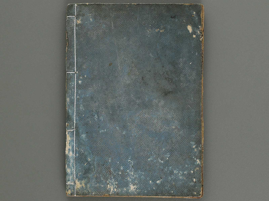 Shinsen taisho hinagata taizen Volume 3 / BJ323-519