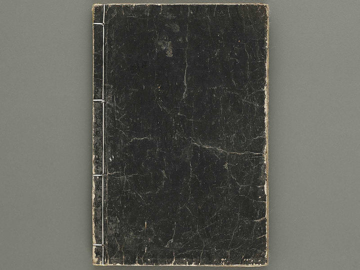 Shogaku kyojubon / BJ335-951