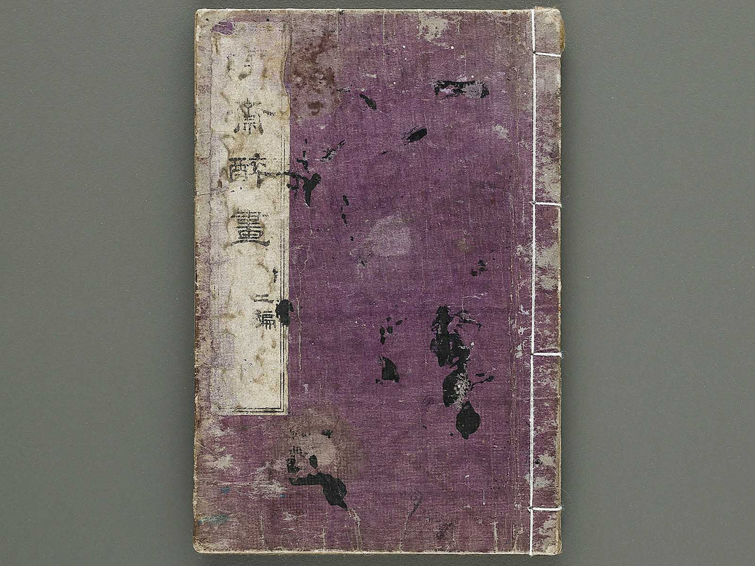 Kyosai suiga Volume 2 by Kawanabe Kyosai / BJ317-142