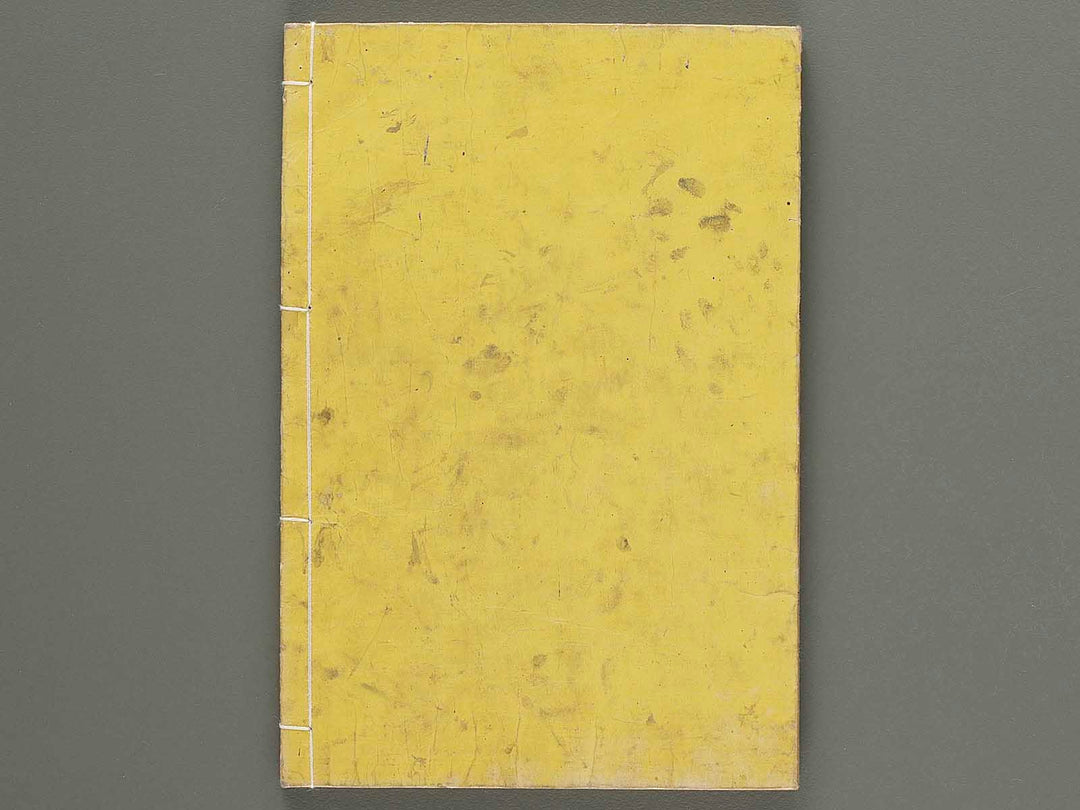 Sanpo jikata taisei Volume 2 / BJ273-077