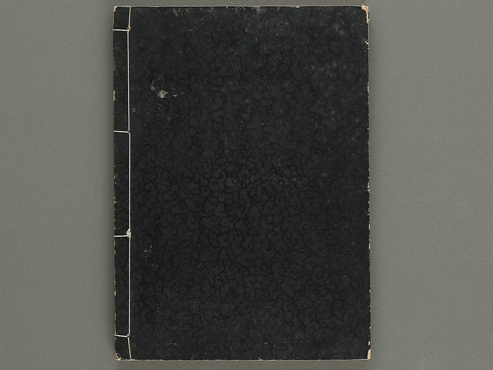 Shinki isso (Chu) by Kuwagata Keisai / BJ326-508