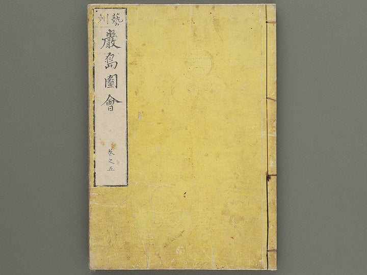 Itsukushima zue Volume 5 by Yamano Shunbosai / BJ311-710