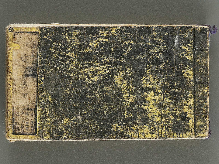 Dainihon chizu dochuki / BJ321-580