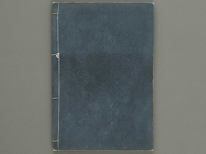 Shinsen taisho hinagata taizen Volume 5 / BJ329-931