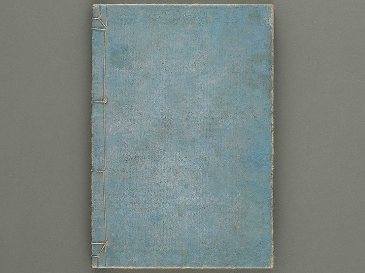 Shoryu hiden ikebana dokushu jizai Volume 4 / BJ332-759