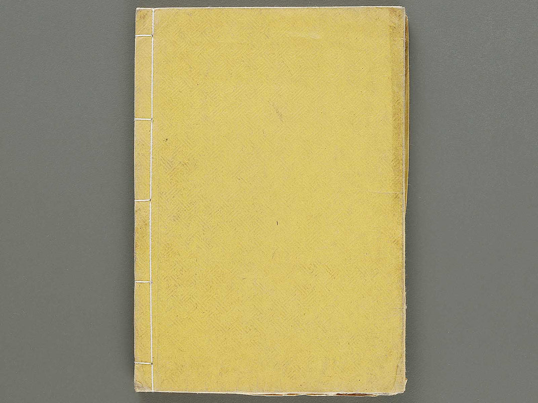 Hakubutsu Shinpen Volume 3 / BJ330-869