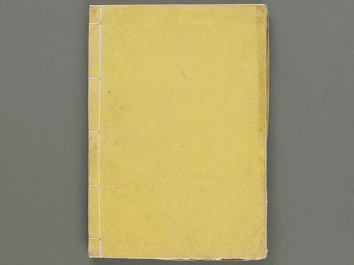 Hakubutsu Shinpen Volume 3 / BJ330-869