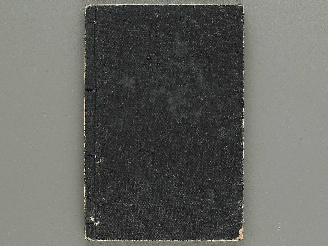 Buyu sakigake zue Volume 1 by Keisai Eisen / BJ346-192