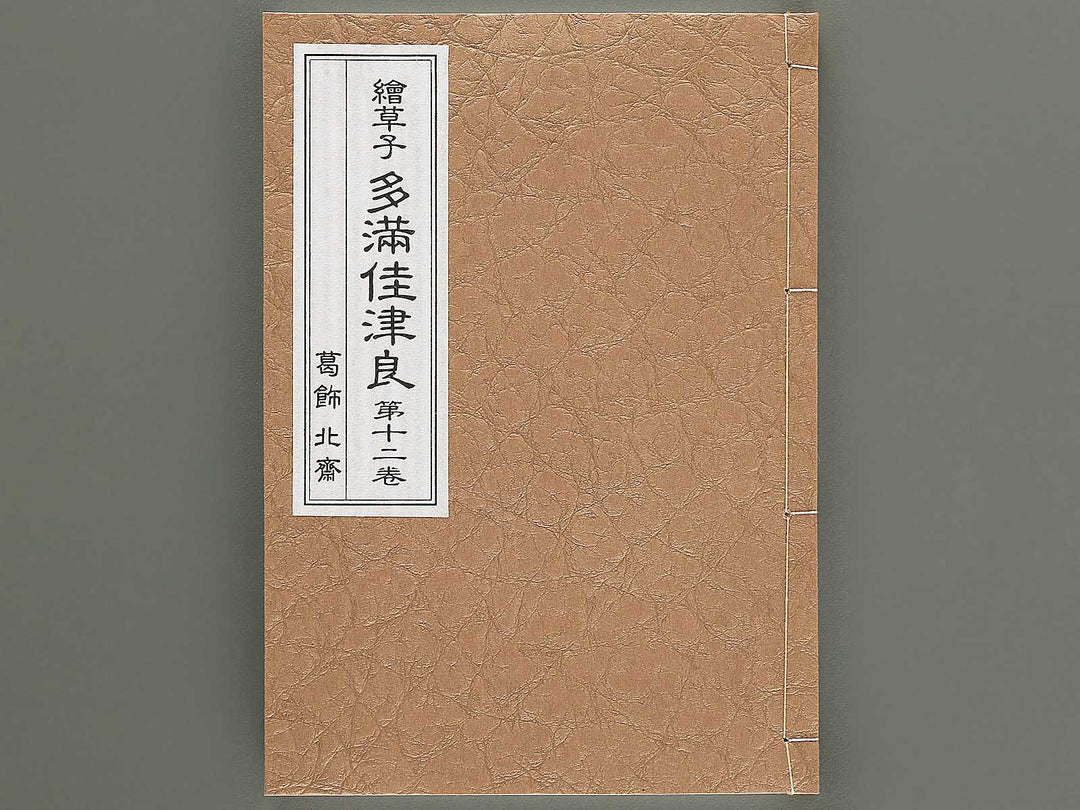 Ezoshi Tamakazura Volume 12 by Katsushika Hokusai / BJ346-486