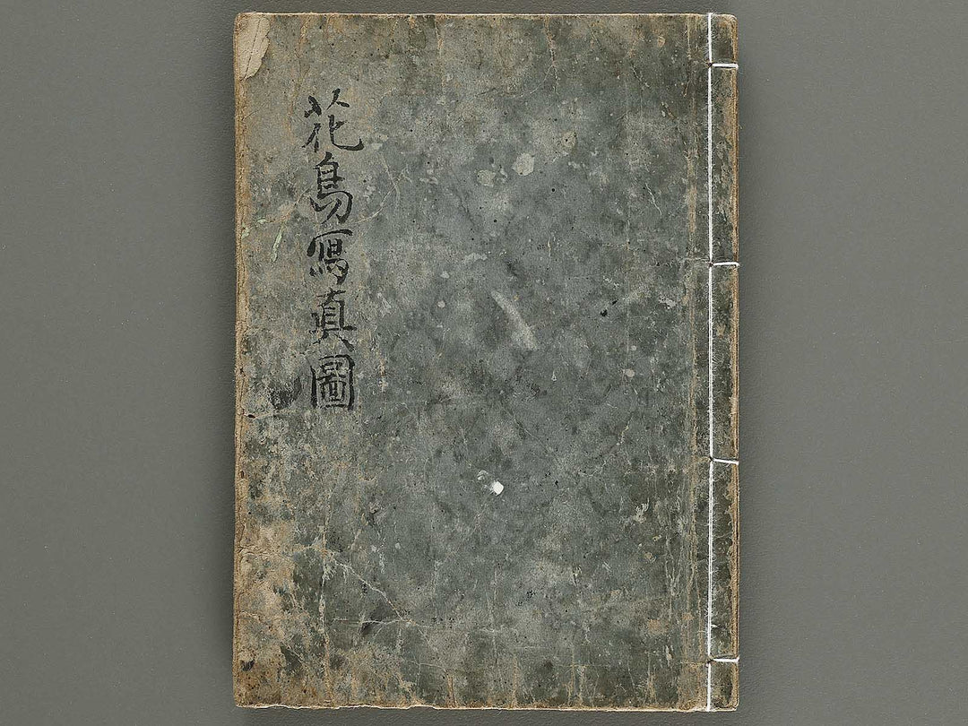 Kacho shashin zui by Kitao Shigemasa / BJ339-115