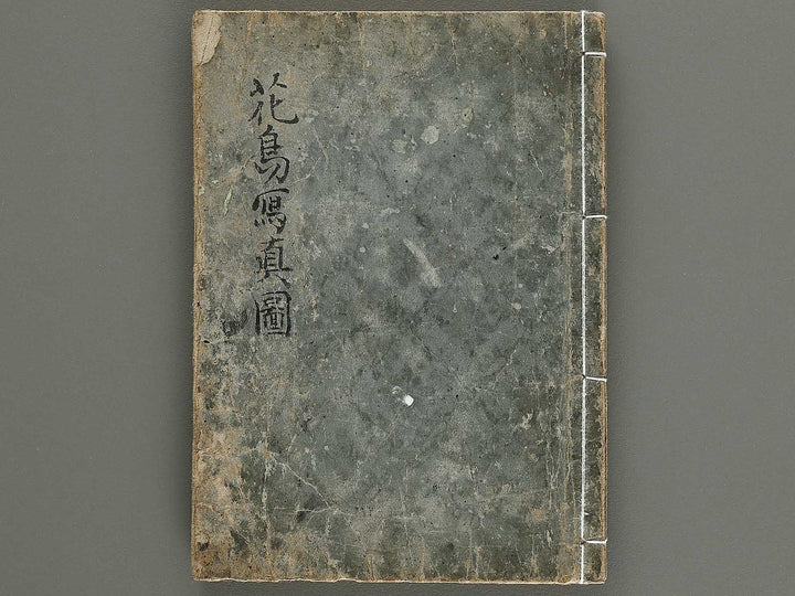 Kacho shashin zui by Kitao Shigemasa / BJ339-115