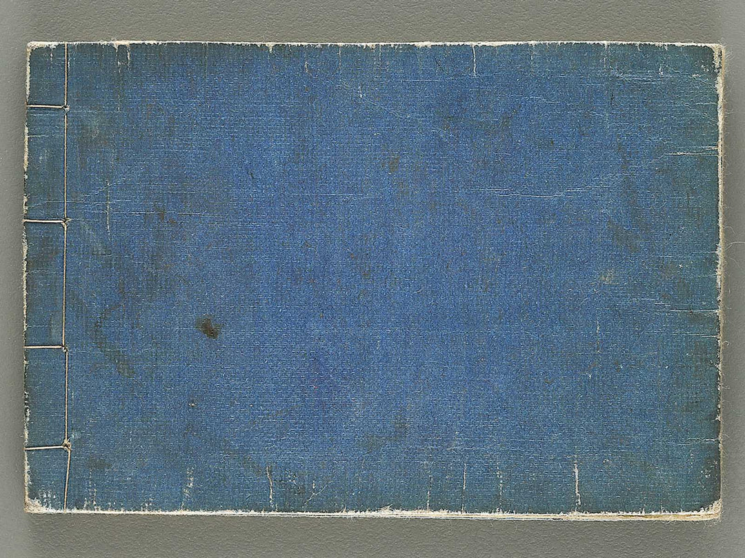 Shinpen ranma hinagata (Ge) by Ochiai Norikuni / BJ353-864