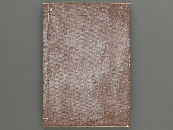 Naniwa no hana by Matsukawa Hanzan / BJ348-992