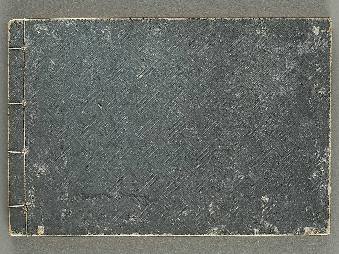 Taisho shin hinagata zensho Vol.5 / BJ338-023