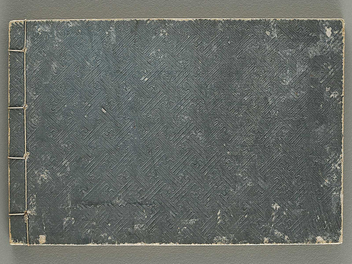 Taisho shin hinagata zensho Vol.5 / BJ338-023