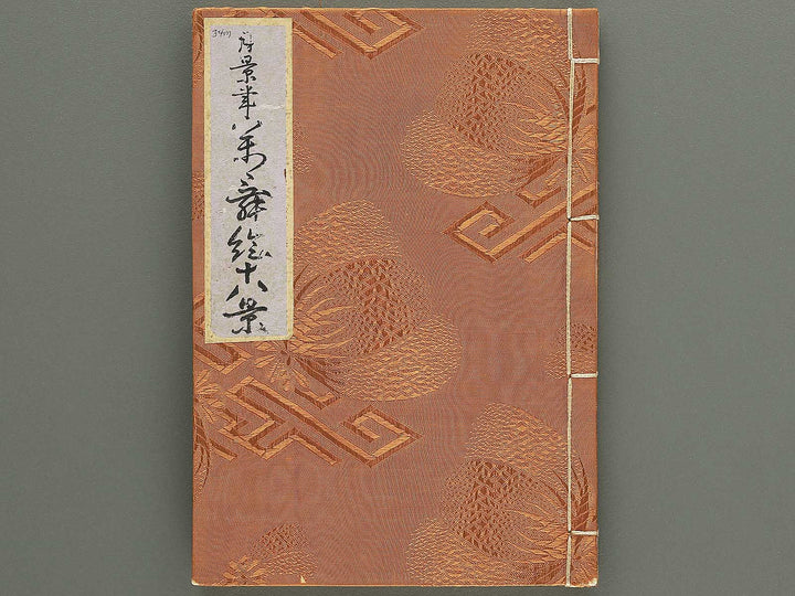 Shunga / BJ348-243