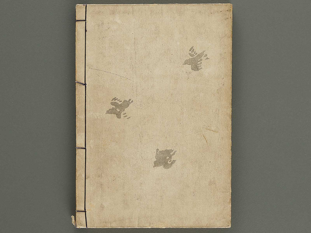 Narumikata Volume 5 by Odagiri Shunko / BJ322-546