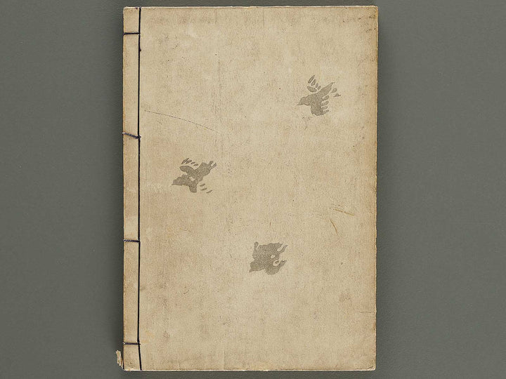 Narumikata Volume 5 by Odagiri Shunko / BJ322-546